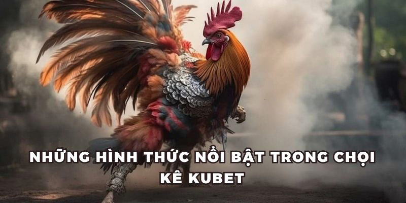 Những hình thức đá gà Kubet được yêu thích